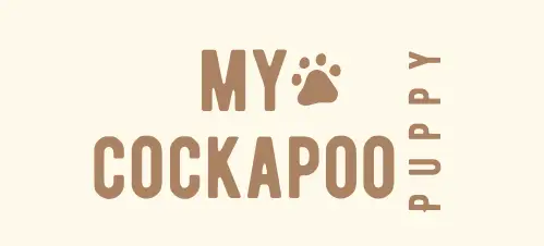 My Cockapoo Puppy